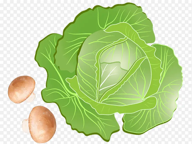 �ֻ��Ҷ�ز�-������