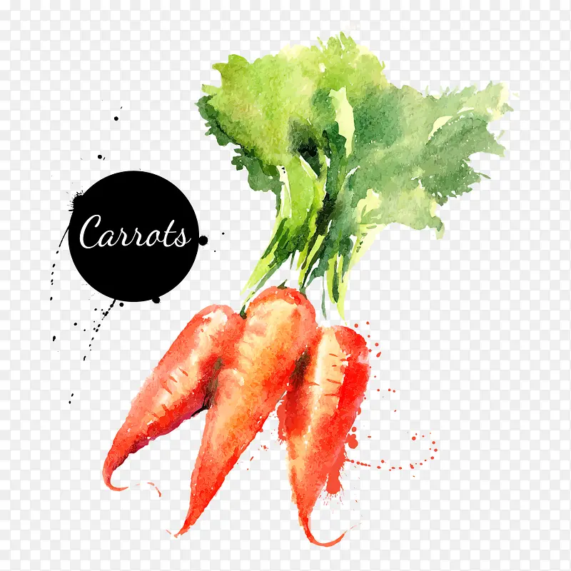 ���ܲ�-������