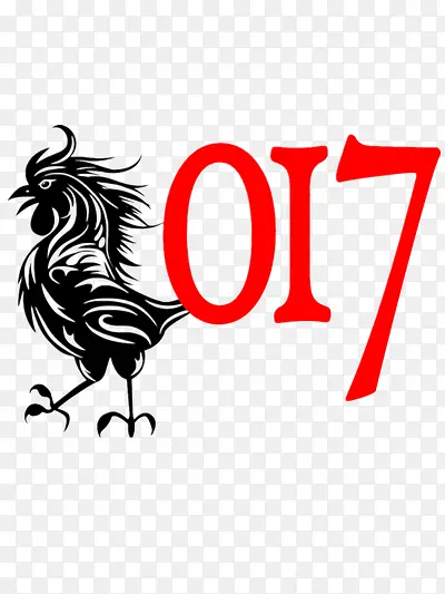 2017�������-������