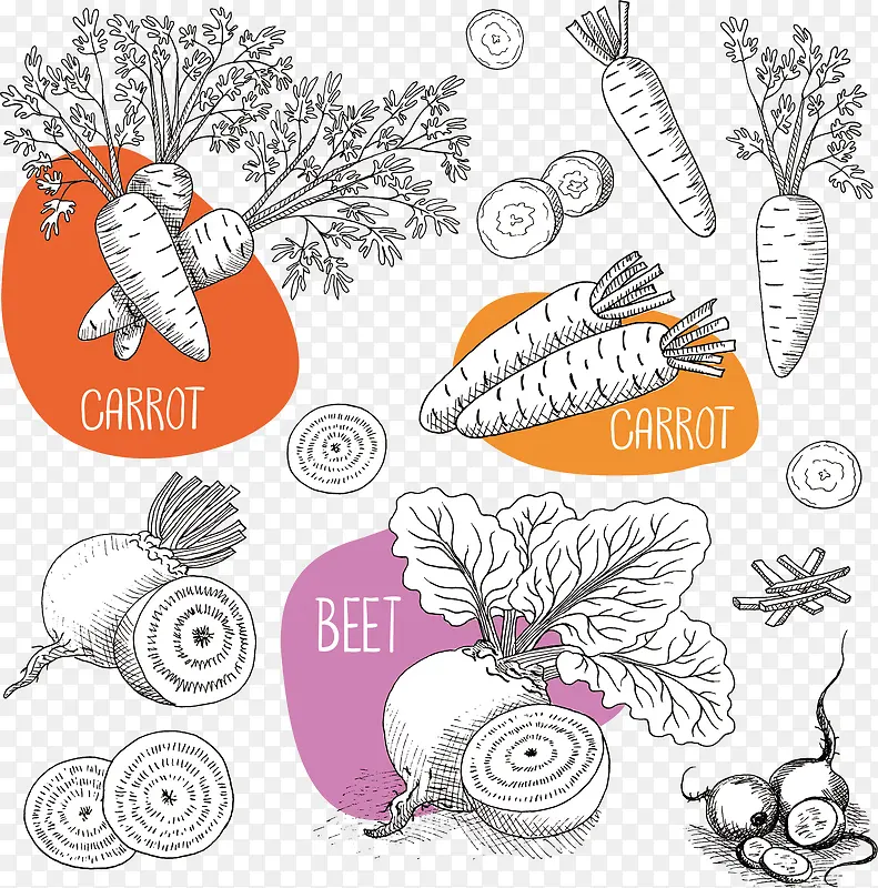 �߲�ʸ��ͼ-������