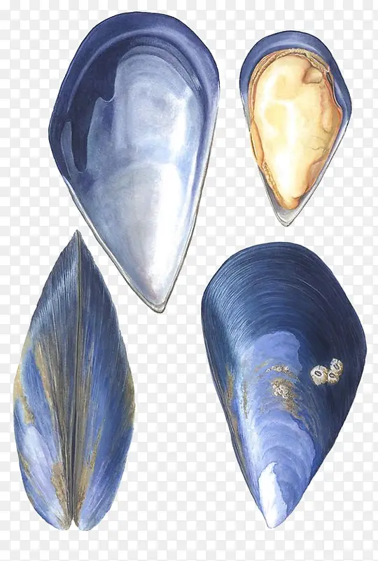 �ֻ溣��-������