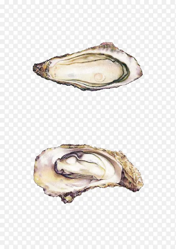 �ֻ����-������