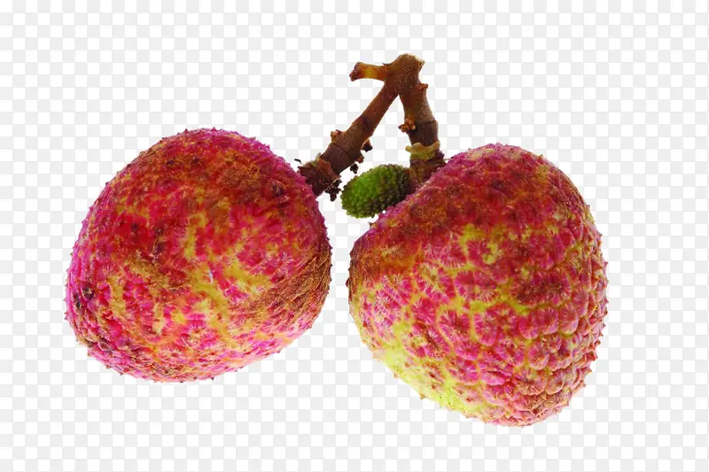 ��ζ��֦-������