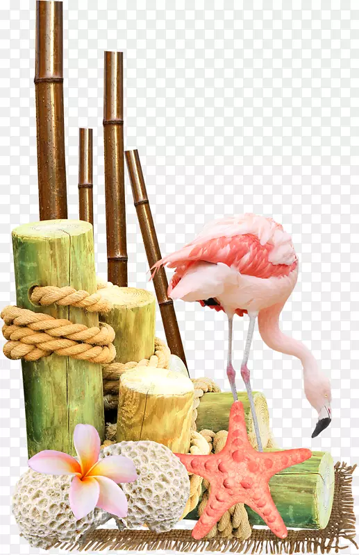 ���������.������-������