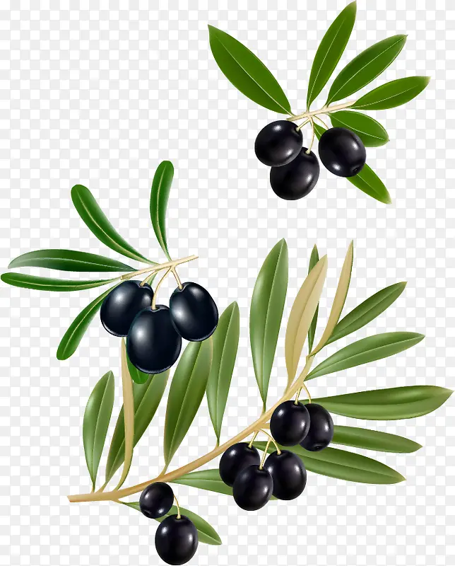 ����pngʸ���ز�-������