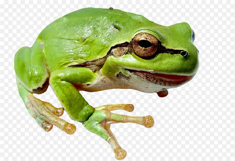 �����ز�-������