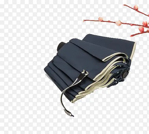 ��ɫ�۵�ɡ-������