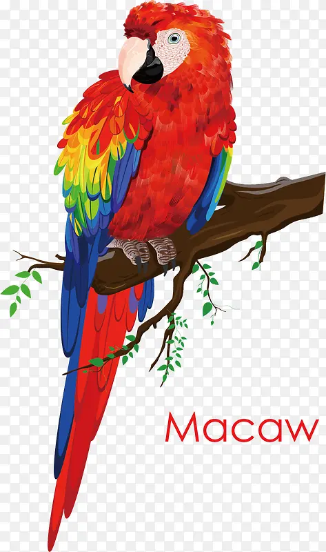 ��ɫ����-������