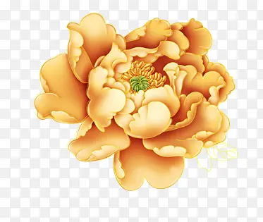 ��ɫ ĵ���� �ز�-������