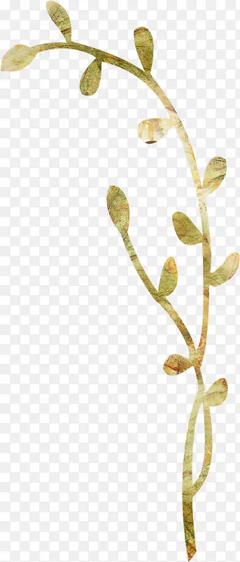 ����ֽ����֦-������