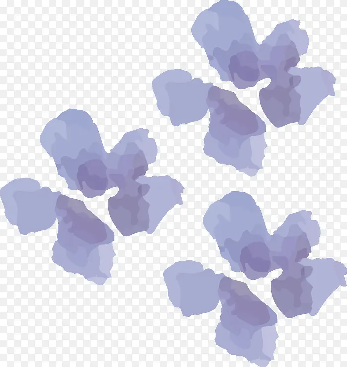 ˮ�ʻ�������֦-������