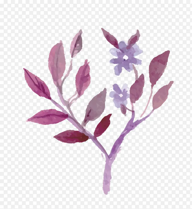 ˮ�ʻ�������֦-������