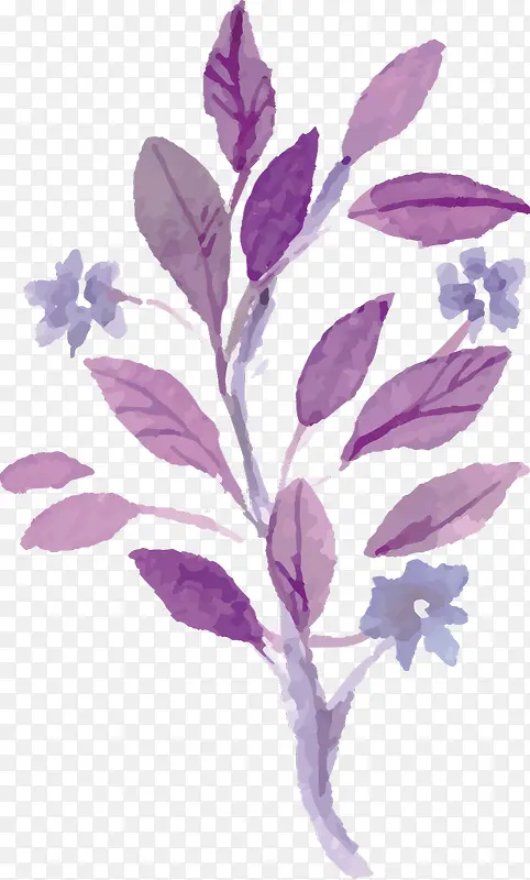 ˮ�ʻ�������֦-������