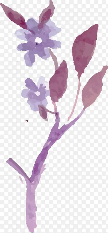 ˮ�ʻ�������֦-������