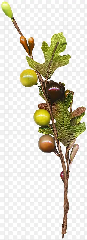 ��֦-������