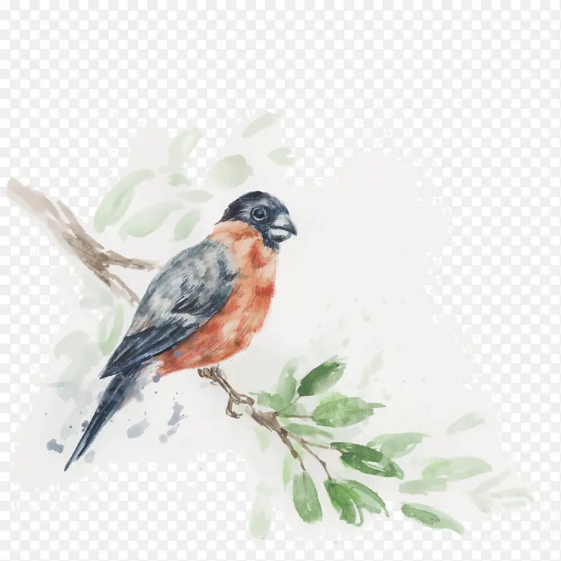 ˮ�ʻ������֦-������