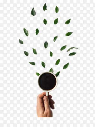 ��Ҷ����-������