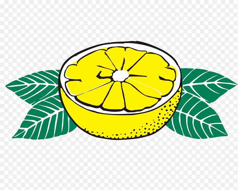 ��ͨ��Ҷ�ӳ���ʸ��ͼ-������