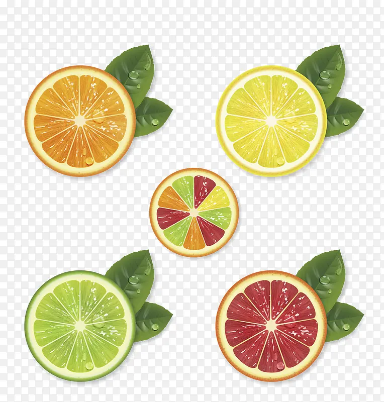 ʸ��ˮ���ز�-������