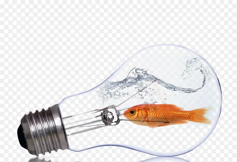 �������-������