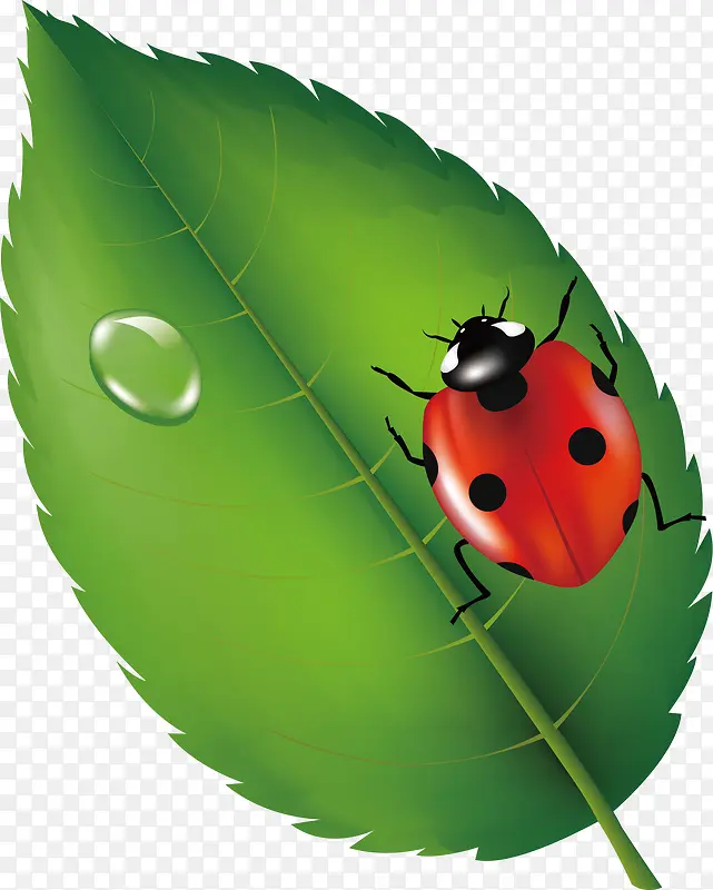 ����ư��pngʸ���ز�-������