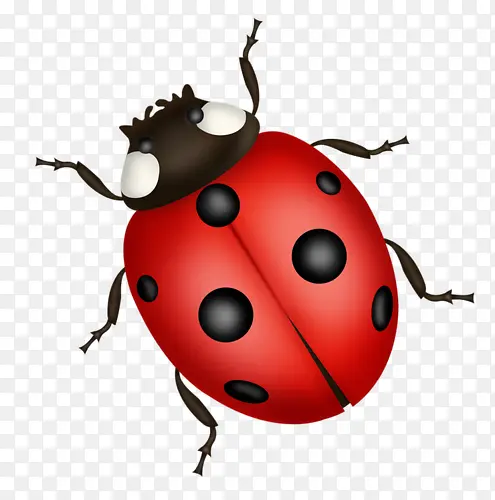 ����ư���ز�png-������