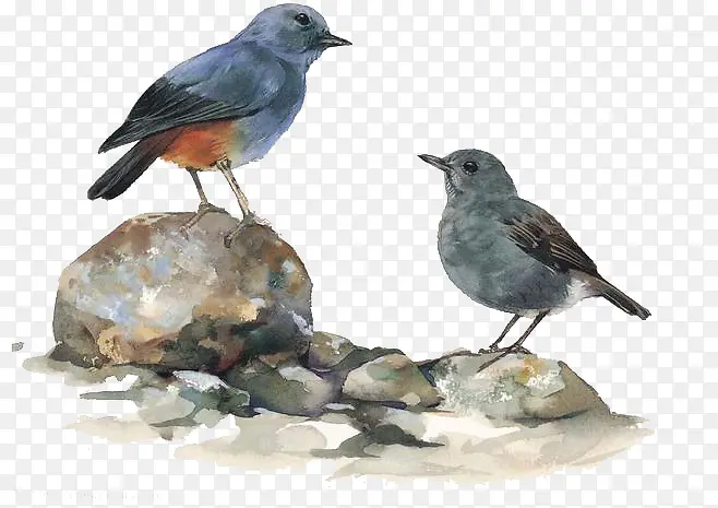 ˮ��С��-������