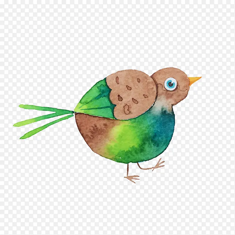 ��ͨˮ��С��-������