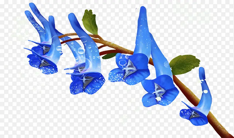 ���Ȼ�-������