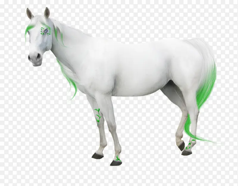 ����png�ز�-������