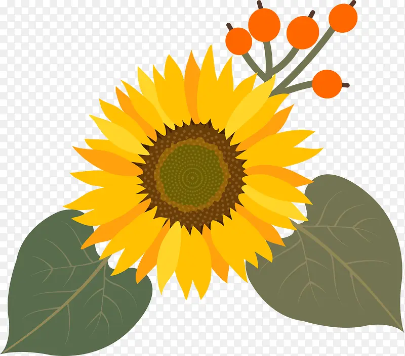 �ֻ����տ�-������