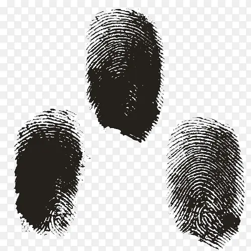 ָ��-������