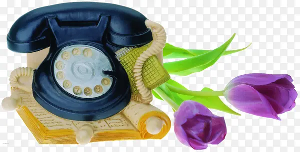 ��ɫ�绰-������