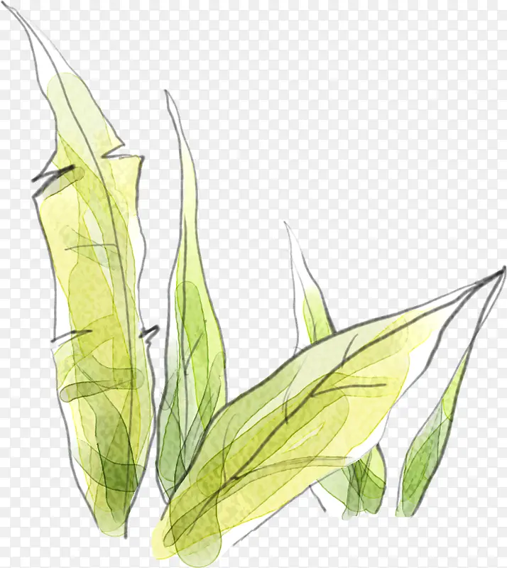 ��ͨ�ɰ��ֻ��Ҷ-������