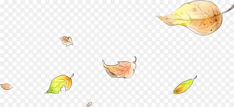 ��ͨ�ɰ��ֻ��Ҷ-������