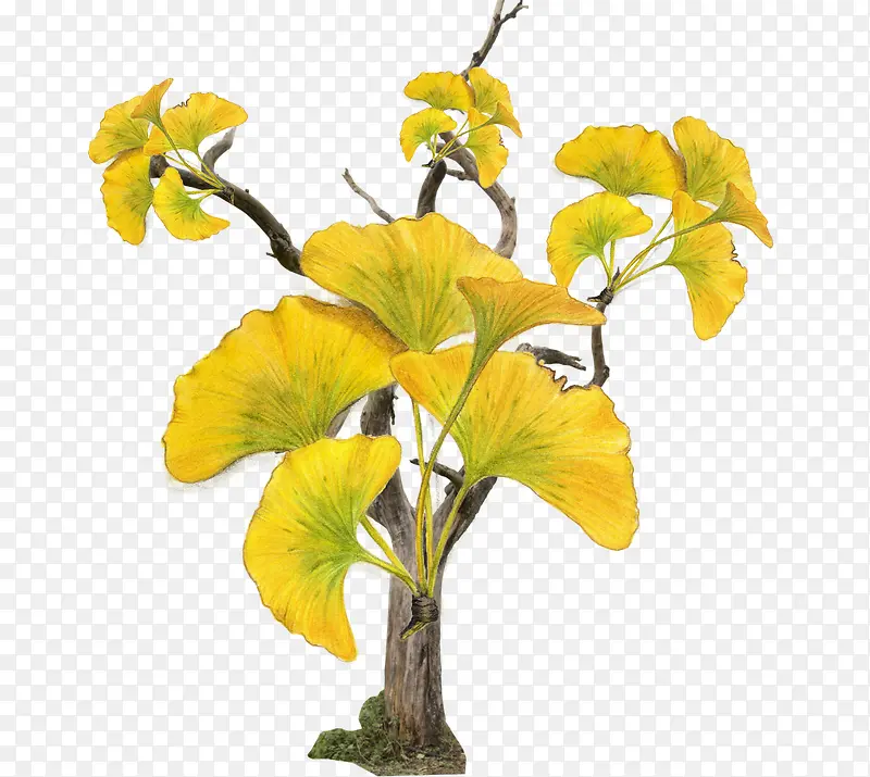 һ����-������