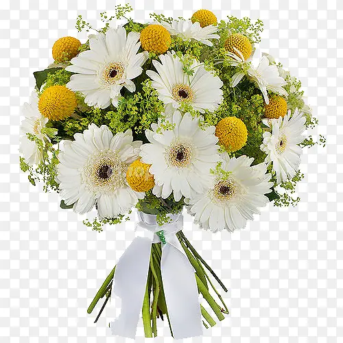 ��ɫ�ջ�����-������