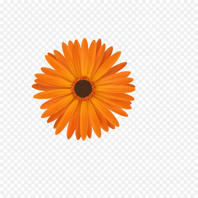 �ջ�ʸ��ͼ-������