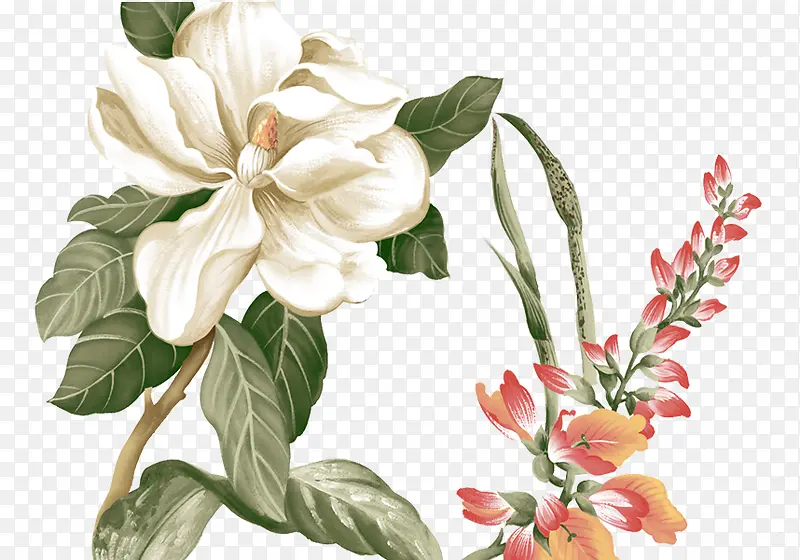 �ֻ��ɫ����-������