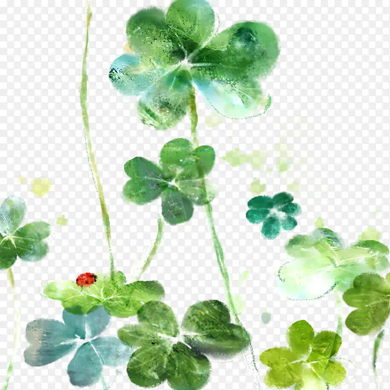 Ψ���ֻ�ˮ����Ҷ��-������