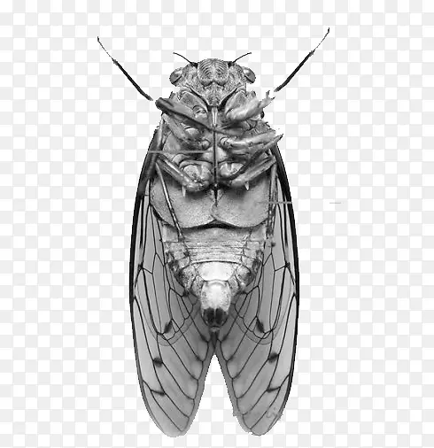 ������-������