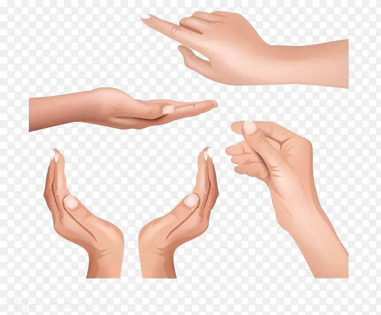 ����дʵ�Ķ�����-������