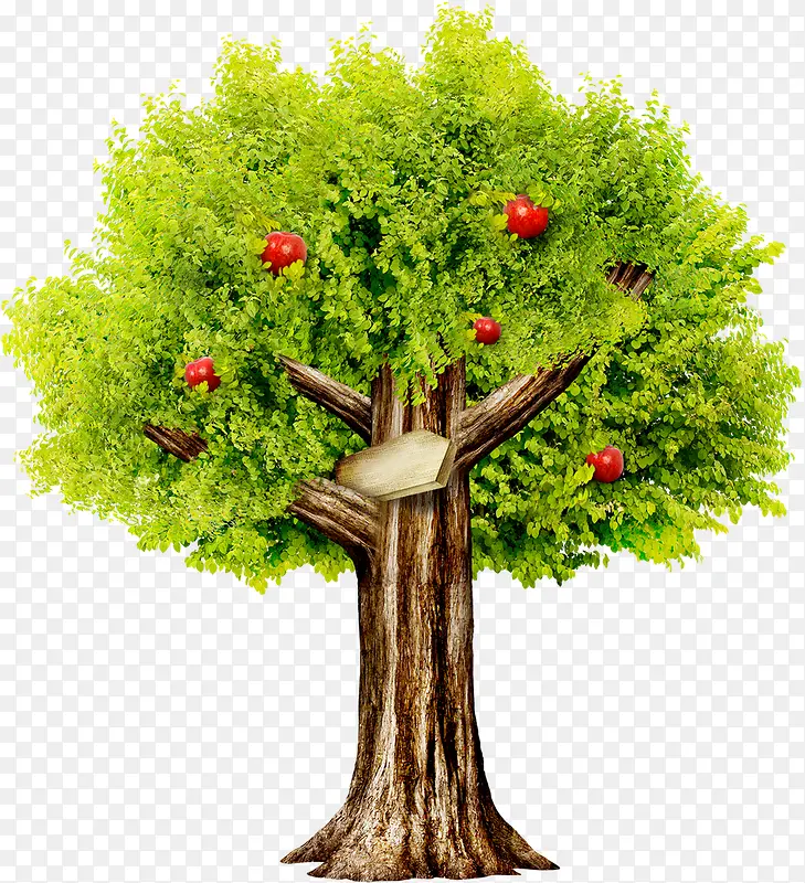 �������ӵ���ɫ����-������