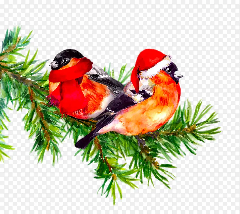 ˮ�ʻ������ϵ�С��-������