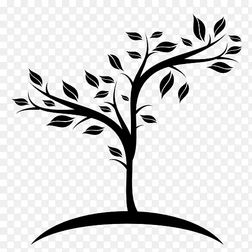 ��С����ͼ��-������