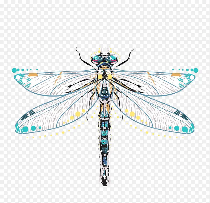 ��ɫ����-������