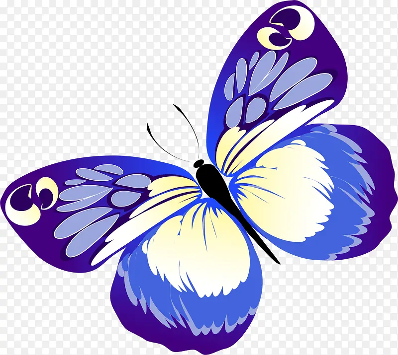 Ψ����ʺ���-������