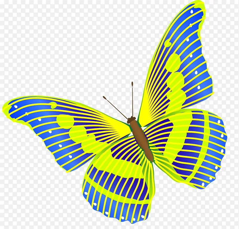 Ψ����ʺ���-������