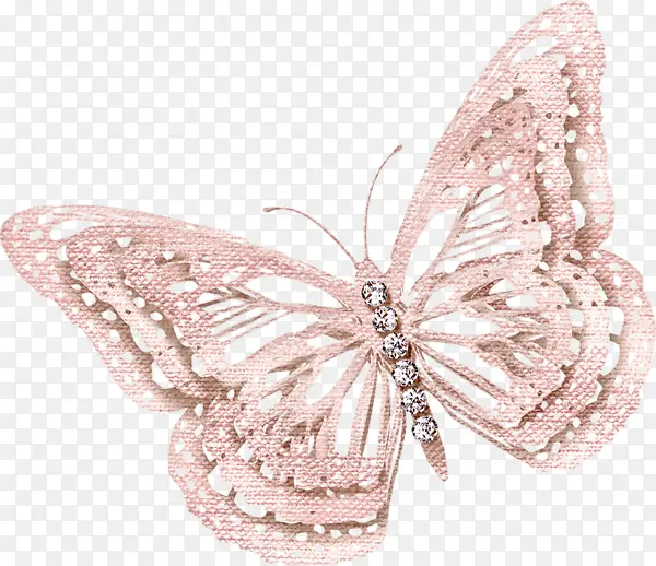 �ʻ����-������