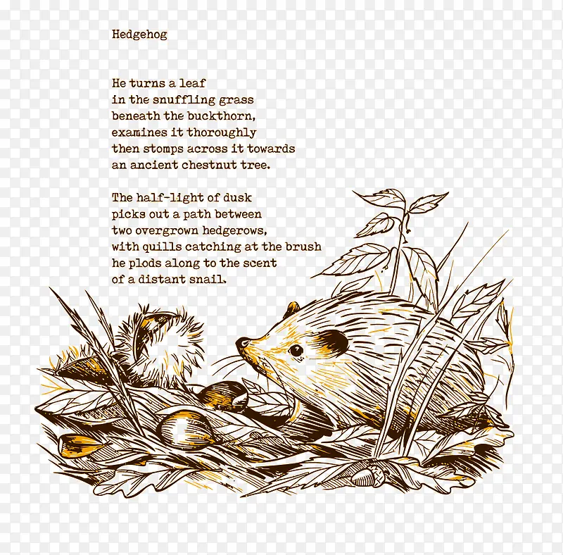 ʸ��������С��⬲廭-������